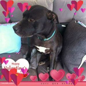 Meet your Posher, Deirdre